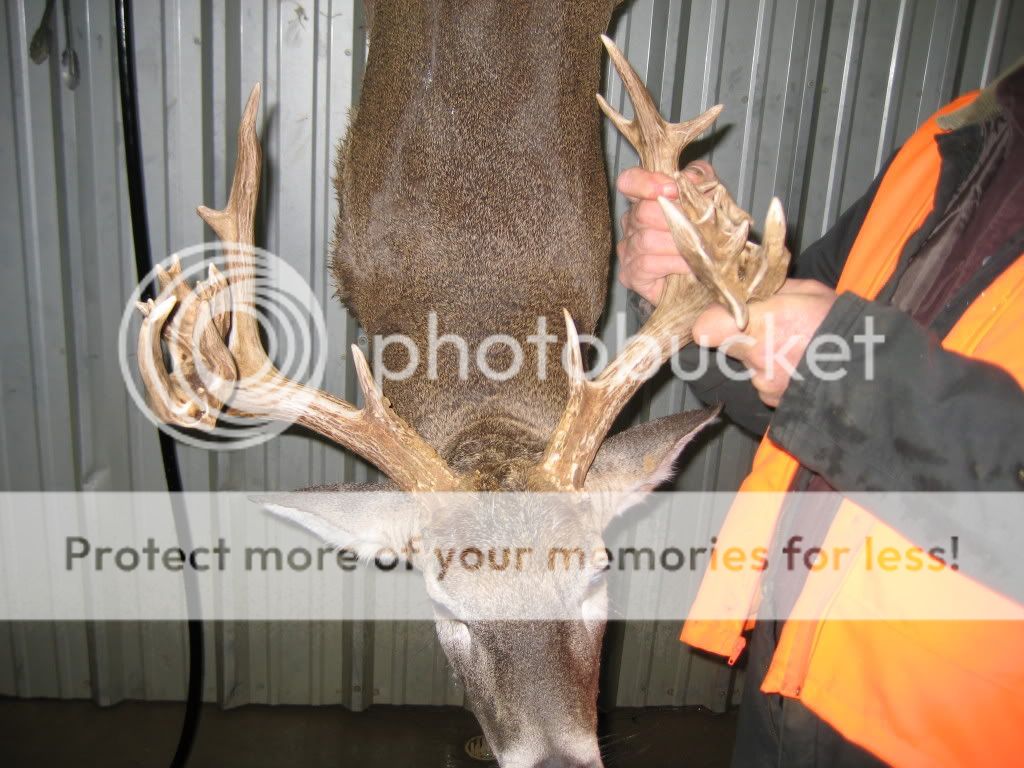 IMG_0123.jpg picture by Tikka270