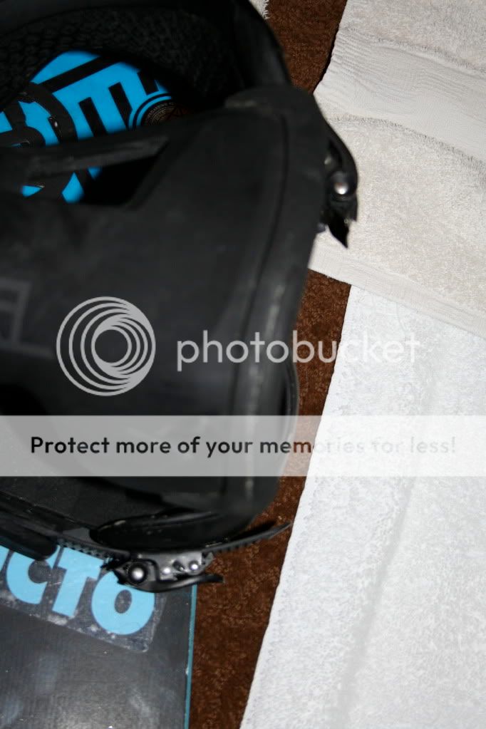 IMG_9594.jpg