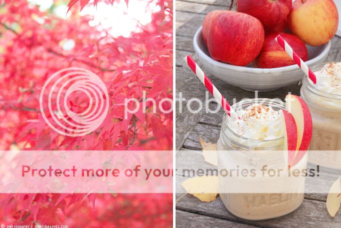 http://i402.photobucket.com/albums/pp103/Sushiina/cityglam/applesmoothie2_zpsd12bb11e.jpg