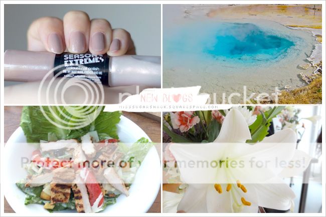 http://i402.photobucket.com/albums/pp103/Sushiina/cityglam/blog_misssugar.jpg