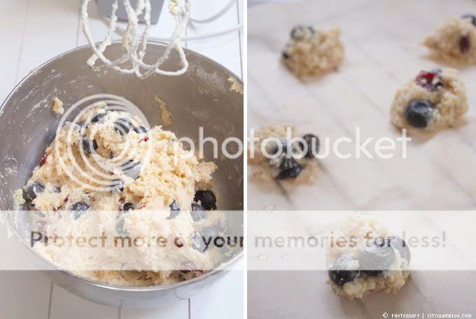 http://i402.photobucket.com/albums/pp103/Sushiina/cityglam/blueberry1.jpg