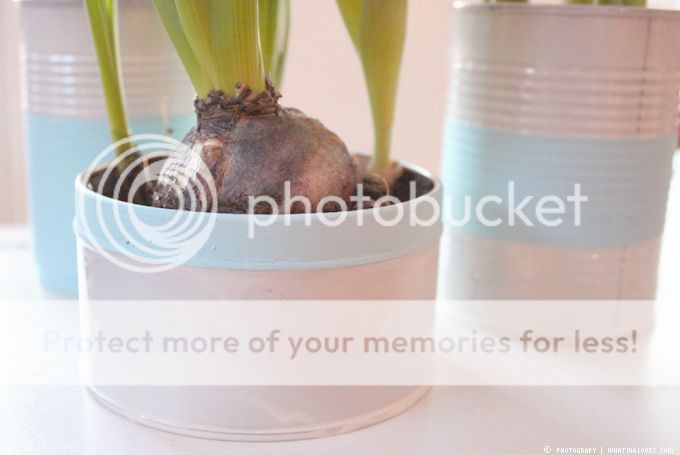 http://i402.photobucket.com/albums/pp103/Sushiina/cityglam/cans3_zpsa7a3d27c.jpg