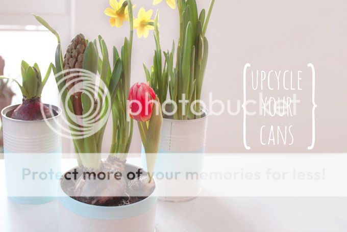 http://i402.photobucket.com/albums/pp103/Sushiina/cityglam/cans_zps425326ff.jpg