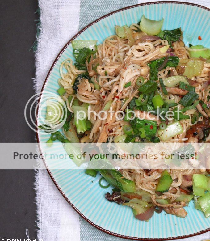 schnelle Pak Choi Nudelpfanne | whatinaloves.com http://i402.photobucket.com/albums/pp103/Sushiina/cityglam/cityglam001/asianudeln2_zpsle5jnicx.jpg
