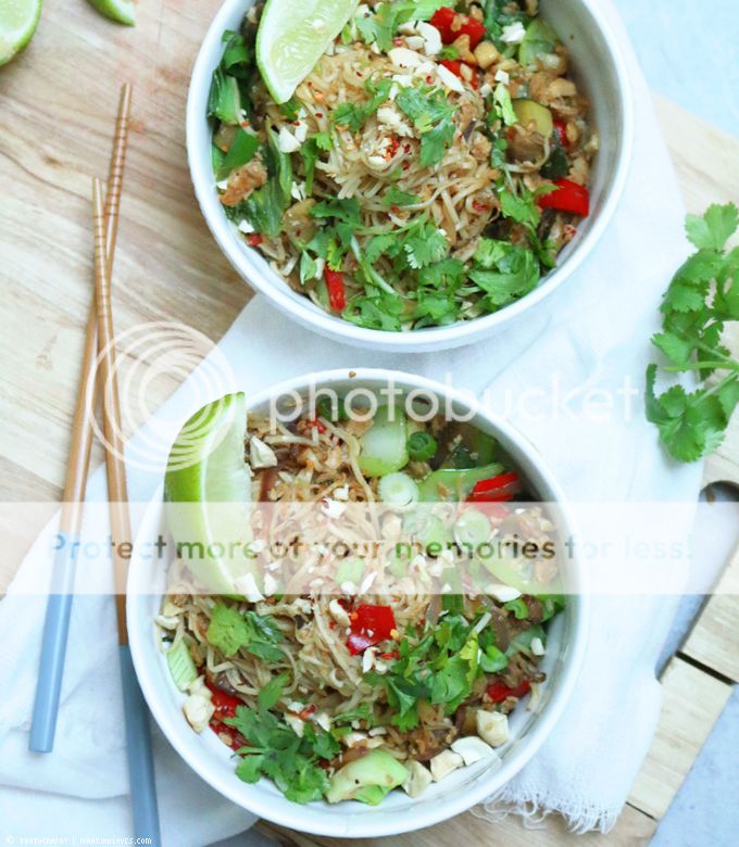 http://i402.photobucket.com/albums/pp103/Sushiina/cityglam/cityglam001/asianudeln4_zpsr2pnb6w0.jpg