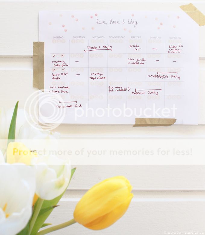 Blog-Planner Freebie // whatinaloves.com