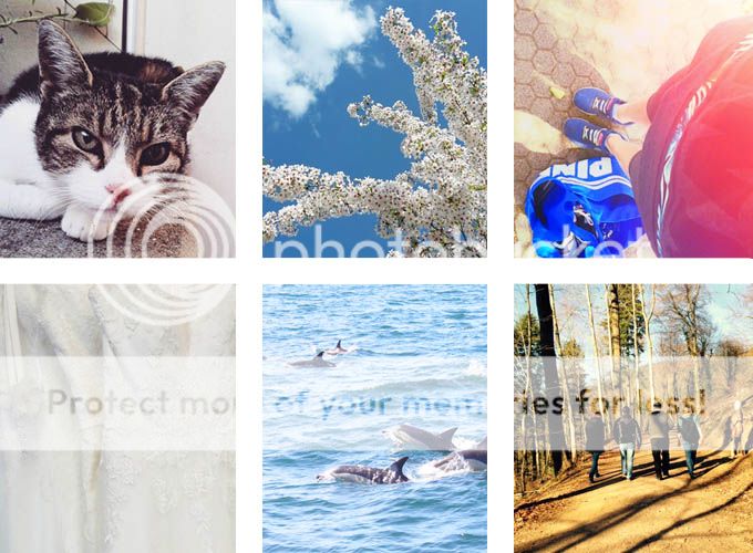 Blog Review 2015 | whatinaloves.com