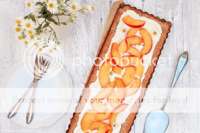 Nektarinen-Tarte Tarte Nektarine Cheesecake Summer Kuchen