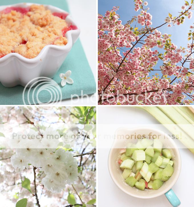 http://i402.photobucket.com/albums/pp103/Sushiina/cityglam/cityglam001/instagram_april4_zpsf22d865f.jpg