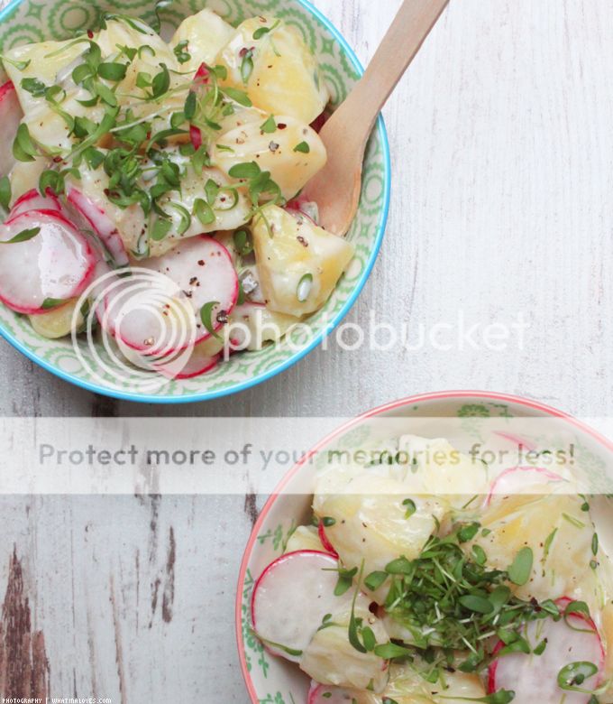 http://i402.photobucket.com/albums/pp103/Sushiina/cityglam/cityglam001/kartoffelsalat3_zps97i41dq4.jpg
