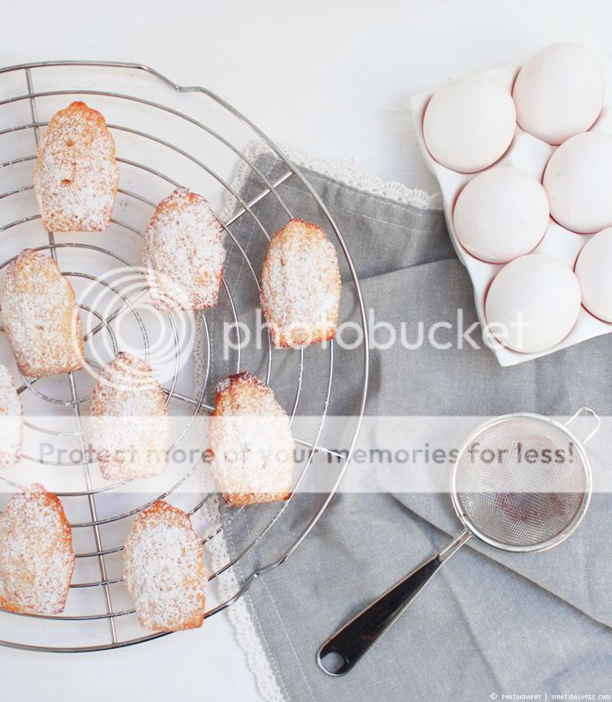 Madeleines // whatinaloves.com