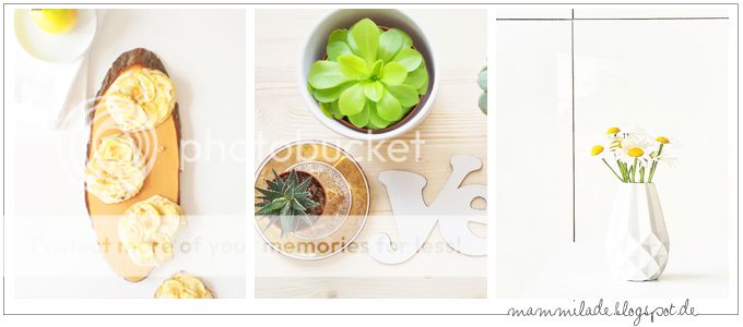New Blogs | whatinaloves.com