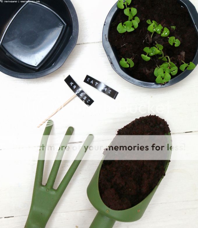 Noa Hummus & 2 DIY Ideen | whatinaloves.com