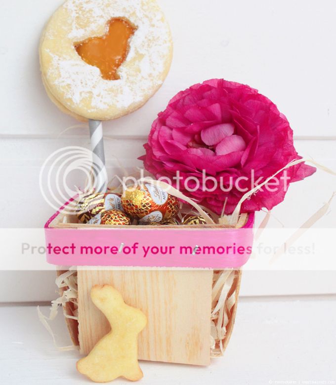 http://i402.photobucket.com/albums/pp103/Sushiina/cityglam/cityglam001/ostercookies4_zpsy8fiyaf1.jpg