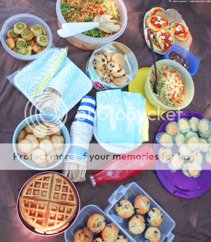 Blogger Picknick 2015 | whatinaloves.com