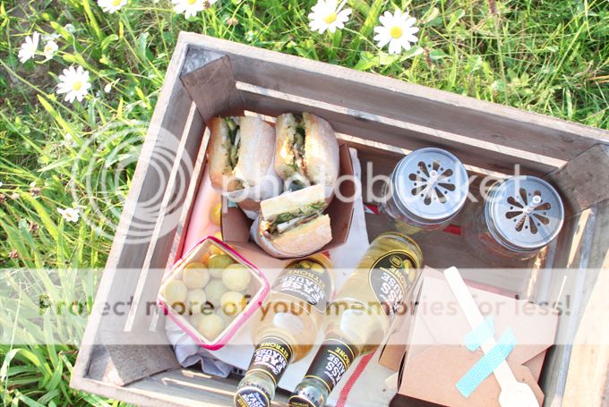 http://i402.photobucket.com/albums/pp103/Sushiina/cityglam/cityglam001/picnic4_zps26bebe0a.jpg