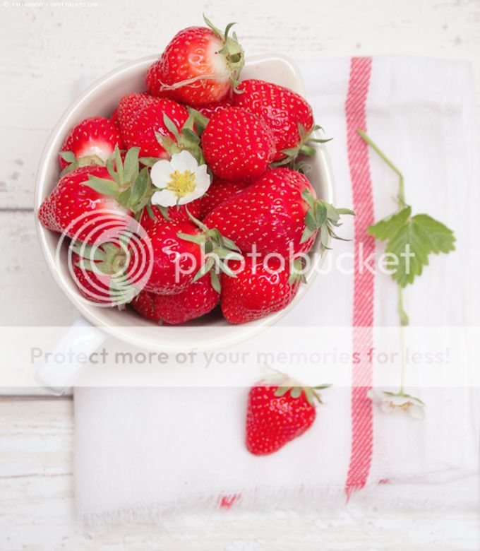 http://i402.photobucket.com/albums/pp103/Sushiina/cityglam/cityglam025/pannacottaerdbeer1_zps8fa2ca9e.jpg