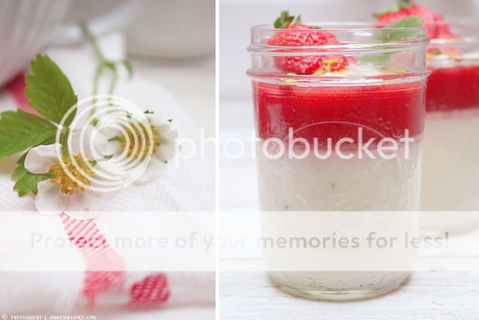 http://i402.photobucket.com/albums/pp103/Sushiina/cityglam/cityglam025/pannacottaerdbeer2_zps22cdf7f3.jpg