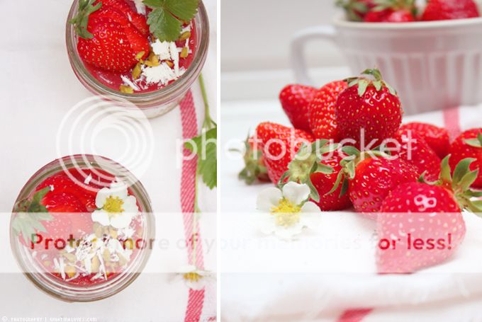 http://i402.photobucket.com/albums/pp103/Sushiina/cityglam/cityglam025/pannacottaerdbeer3_zpse38d6a1a.jpg