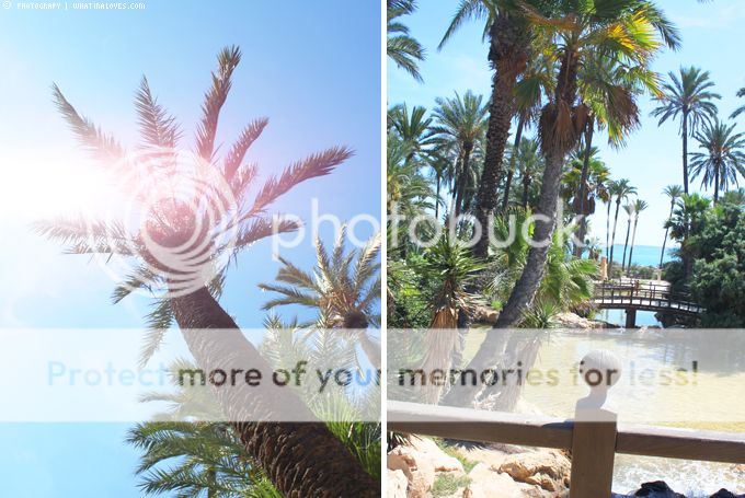http://i402.photobucket.com/albums/pp103/Sushiina/cityglam/costa5.jpg