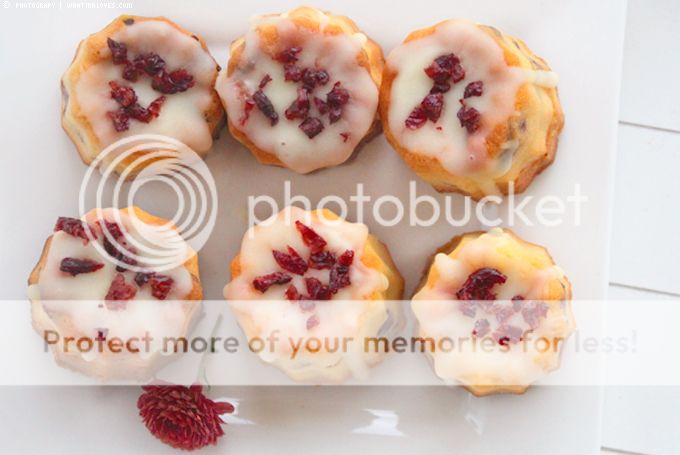 http://i402.photobucket.com/albums/pp103/Sushiina/cityglam/cramcale1.jpg