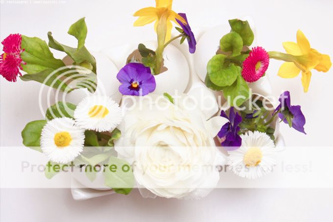http://i402.photobucket.com/albums/pp103/Sushiina/cityglam/eierdeko3_zps3ea0dd67.jpg