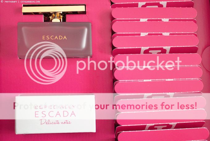 http://i402.photobucket.com/albums/pp103/Sushiina/cityglam/escada1.jpg
