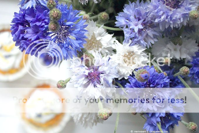 http://i402.photobucket.com/albums/pp103/Sushiina/cityglam/ff10.jpg
