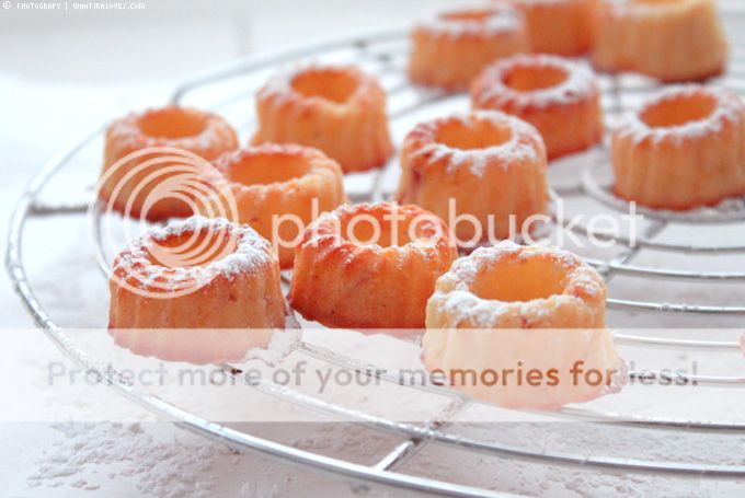 http://i402.photobucket.com/albums/pp103/Sushiina/cityglam/fg1_zpse4676531.jpg