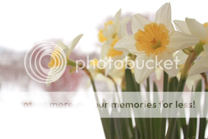 http://i402.photobucket.com/albums/pp103/Sushiina/cityglam/fg4_zps6050b533.jpg