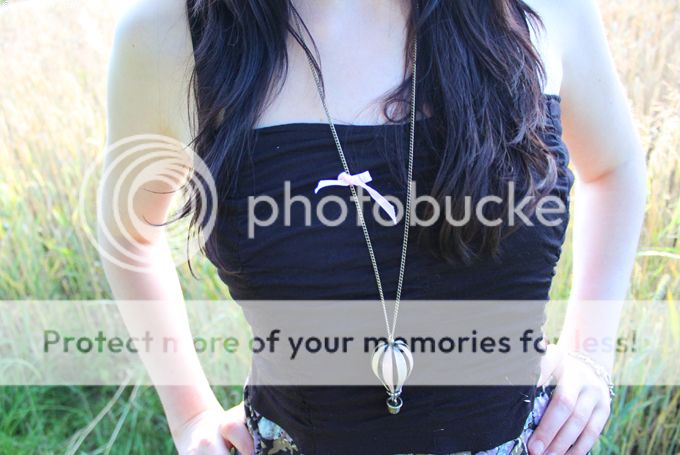 http://i402.photobucket.com/albums/pp103/Sushiina/cityglam/field2.jpg