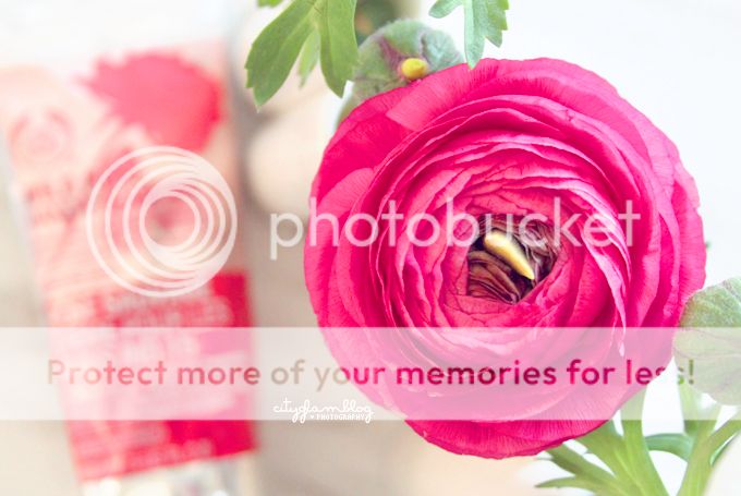 http://i402.photobucket.com/albums/pp103/Sushiina/cityglam/flow22.jpg