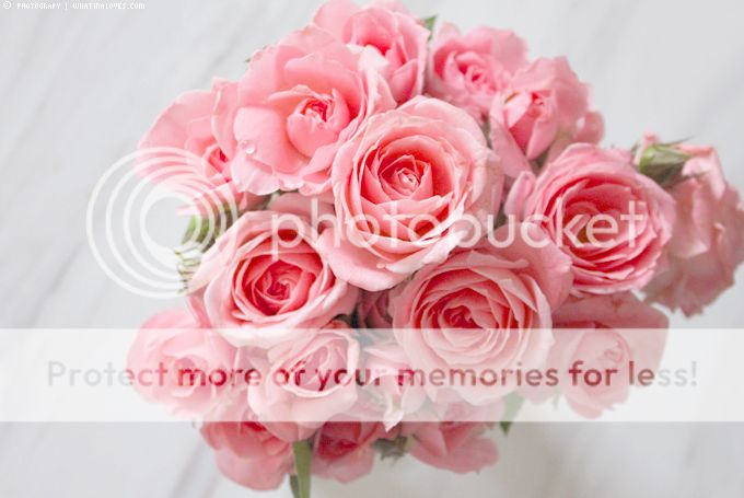 http://i402.photobucket.com/albums/pp103/Sushiina/cityglam/fo1.jpg