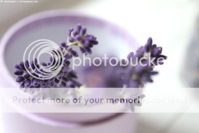 http://i402.photobucket.com/albums/pp103/Sushiina/cityglam/frage1.jpg