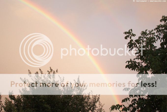 http://i402.photobucket.com/albums/pp103/Sushiina/cityglam/herbst7_zps529a7969.jpg