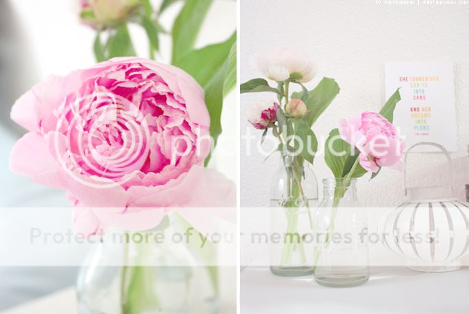http://i402.photobucket.com/albums/pp103/Sushiina/cityglam/home3-1_zps2f177e5e.jpg