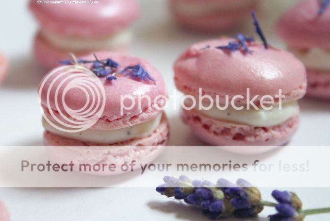 http://i402.photobucket.com/albums/pp103/Sushiina/cityglam/lav4.jpg