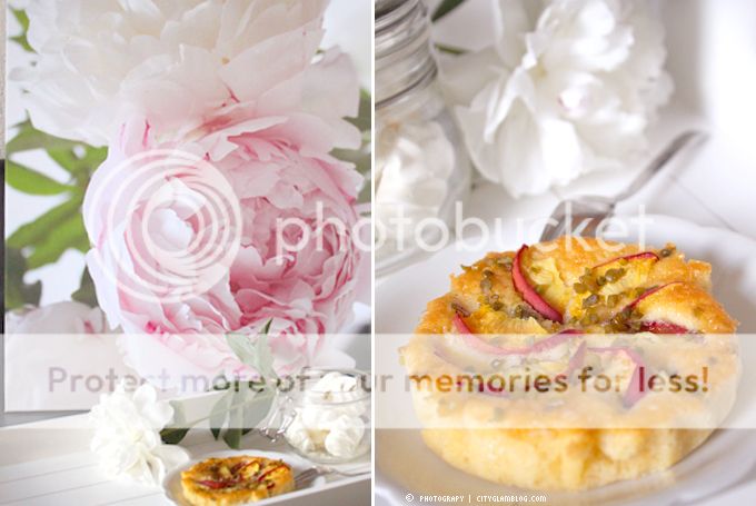 http://i402.photobucket.com/albums/pp103/Sushiina/cityglam/leinwand2.jpg