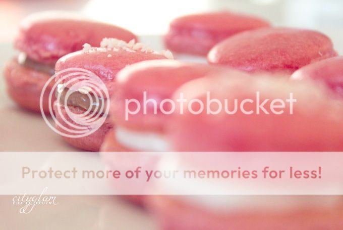 http://i402.photobucket.com/albums/pp103/Sushiina/cityglam/mac10.jpg