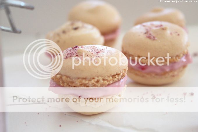 http://i402.photobucket.com/albums/pp103/Sushiina/cityglam/macar4.jpg