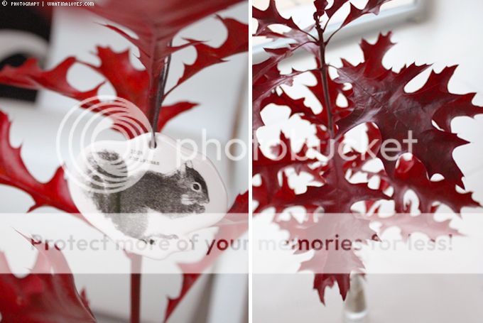 http://i402.photobucket.com/albums/pp103/Sushiina/cityglam/si4.jpg
