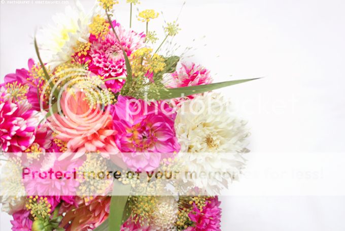 http://i402.photobucket.com/albums/pp103/Sushiina/cityglam/so3_zpsd6b81fe5.jpg