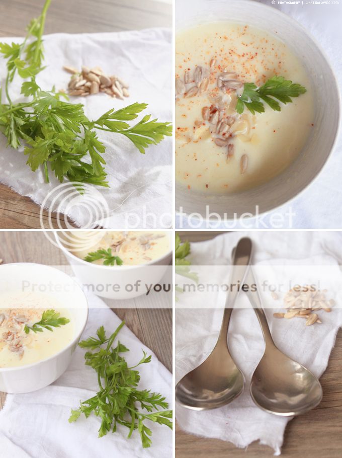 http://i402.photobucket.com/albums/pp103/Sushiina/cityglam/soup_zpse2568b6b.jpg