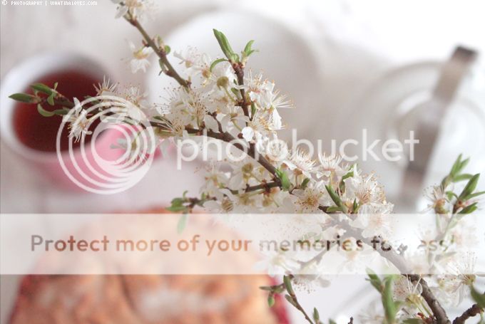 http://i402.photobucket.com/albums/pp103/Sushiina/cityglam/spring6_zps7e11d3af.jpg?t=1365352936