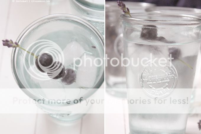 http://i402.photobucket.com/albums/pp103/Sushiina/cityglam/tkmaxx2.jpg
