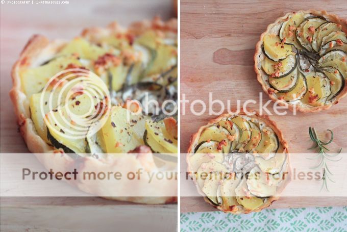 http://i402.photobucket.com/albums/pp103/Sushiina/cityglam/zucchini4_zpsdfa86419.jpg