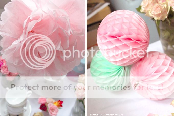 http://i402.photobucket.com/albums/pp103/Sushiina/deliciousday/pompom.jpg