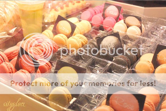 http://i402.photobucket.com/albums/pp103/Sushiina/fance1.jpg