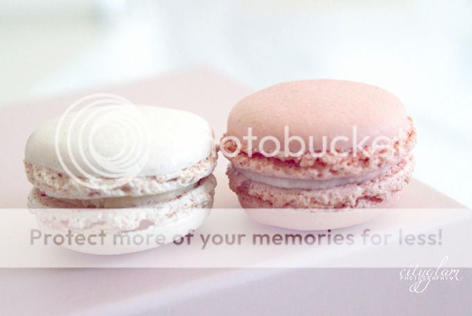 http://i402.photobucket.com/albums/pp103/Sushiina/macr4.jpg