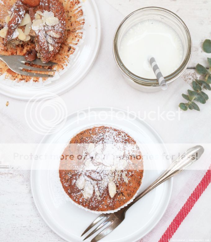Nussige Mohn-Muffins mit kleinen Schokoladenstückchen für die Adventszeit